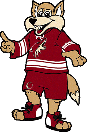 Phoenix Coyotes 2003-2007 Mascot Logo iron on transfers for fabric